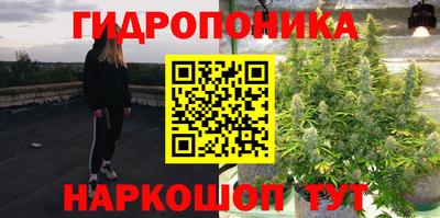 бошки Будённовск