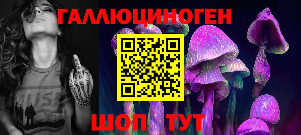Псилоцибиновые грибы Psilocybine cubensis Пугачёв
