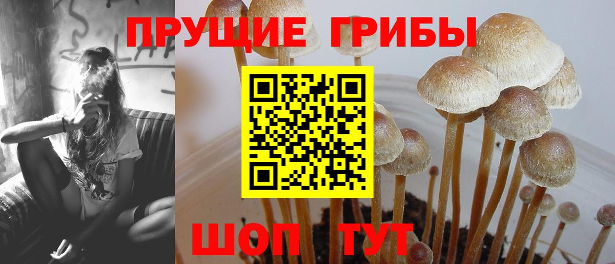 Галлюциногенные грибы ЛСД  Галлюциногенные грибы мицелий  Вход с VPN  Пугачёв 